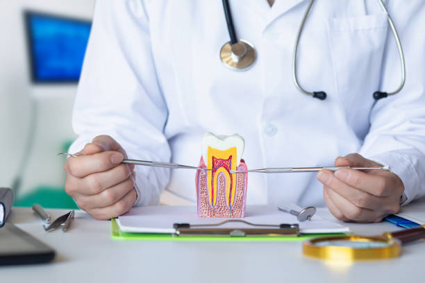 Best Emergency Dentist for Lost Fillings or Crowns in Pooler, GA